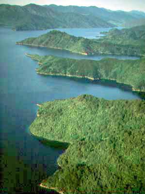 The Marlborough Sounds - photo by Graeme Matthews Photo Image